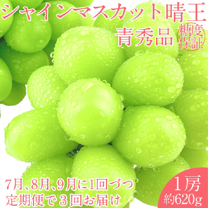 2026年 予約受付中【3回定期便】 シャインマスカット 晴王 1房 約620g 7月～9月出荷/ 岡山県産 種無し 皮ごと食べる みずみずしい フレッシュ 晴れの国 おかやま 果物大国 彩美菜果 [№5735-2108