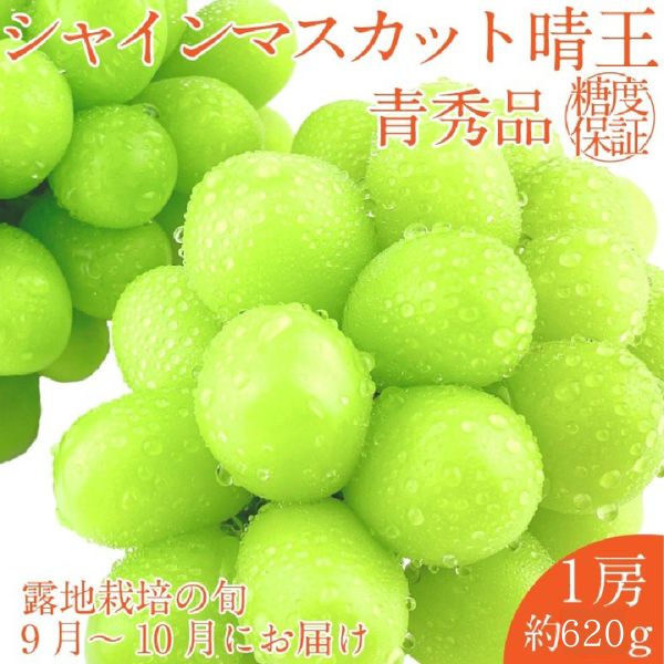 【2026年 予約受付中】 シャインマスカット 晴王 1房約620g 9月～10月出荷/ 岡山県産 種無し 皮ごと食べる みずみずしい フレッシュ 晴れの国 おかやま 果物大国 彩美菜果 [№5735-2114
