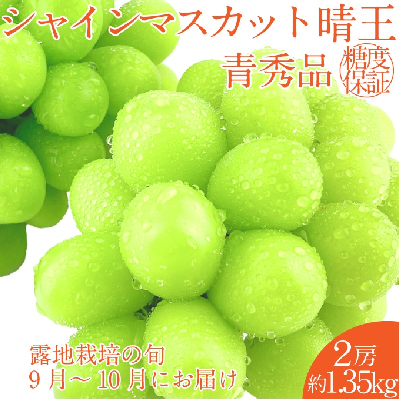 【2026年 予約受付中】 シャインマスカット 晴王 2房 約1.35kg 9月～10月出荷/ 岡山県産 種無し 皮ごと食べる みずみずしい フレッシュ 晴れの国 おかやま 果物大国 彩美菜果 [№5735-2117