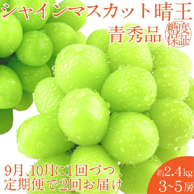 2026年 予約受付中【2回定期便】 シャインマスカット 晴王 約2.4kg（3～5房）9月10月に1回づつ出荷/ 岡山県産 種無し 皮ごと食べる みずみずしい フレッシュ 晴れの国 おかやま 果物大国 彩美菜果 [№5735-2121