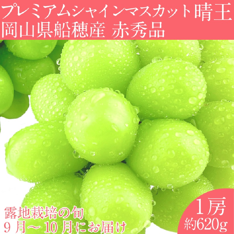 【2026年 予約受付中】 プレミアム シャインマスカット 晴王 1房約620g/ 岡山県 船穂産 赤秀品 種無し 皮ごと食べる みずみずしい 9月10月にお届け フレッシュ 晴れの国 おかやま 果物大国 彩美菜果 [№5735-2122