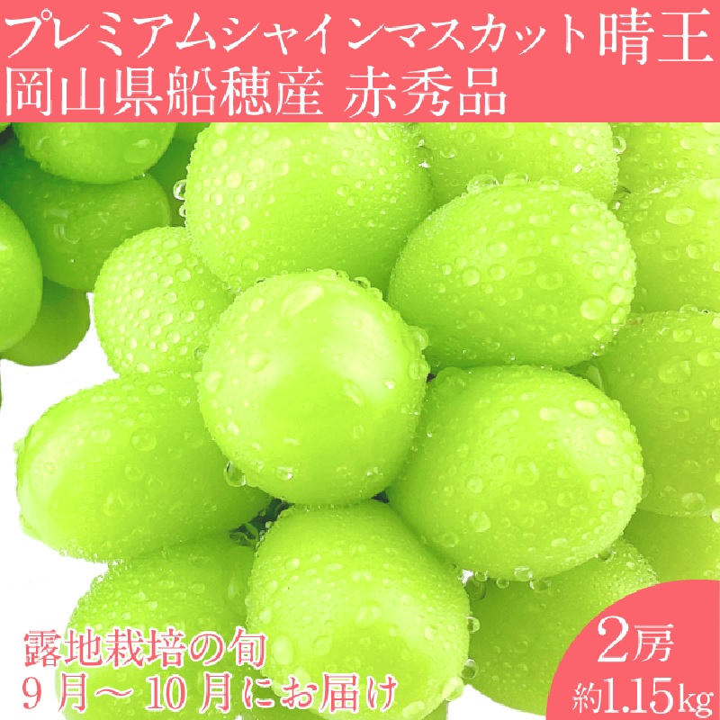 【2026年 予約受付中】 プレミアム シャインマスカット 晴王 2房約1.15kg/ 岡山県 船穂産 赤秀品 種無し 皮ごと食べる みずみずしい 9月10月にお届け フレッシュ 晴れの国 おかやま 果物大国 彩美菜果 [№5735-2124