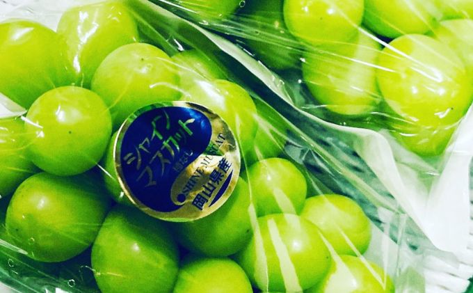 ぶどう 2026年 先行予約 シャイン マスカット 3房 合計2kg以上 ブドウ 葡萄  岡山県産 国産 フルーツ 果物 ギフト 河本農園 果物類 シャインマスカット 種なし 皮ごと 2キロ 