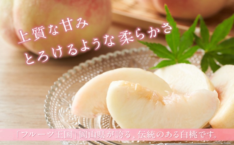 譯 縲2026蟷エ 蜈郁。御コ育エ縲 譎エ繧後ョ蝗ス 縺翫°繧縺セ 縺ョ 逋ス譯 2kg(5邇会ス7邇) 繧ゅb 繝「繝「 蟯。螻ア逵檎肇 蝗ス逕」 繝輔Ν繝シ繝 譫懃黄 繧ョ繝輔ヨ