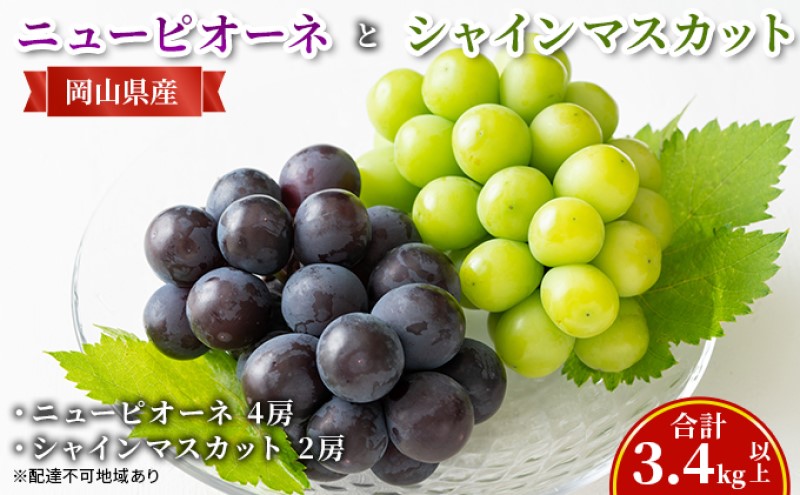 ぶどう 【2026年 先行予約】 ニュー ピオーネ 4房と シャインマスカット 2房(合計3.4kg以上) マスカット ブドウ 葡萄　岡山県産 国産 フルーツ 果物 ギフト