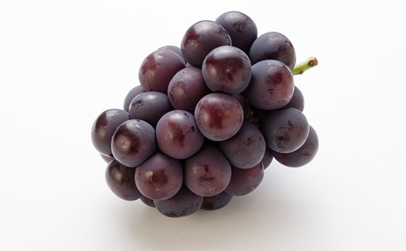 ぶどう 【2026年 先行予約】 ニュー ピオーネ 2房 合計1kg以上 ブドウ 葡萄 岡山県産 国産 フルーツ 果物 ギフト