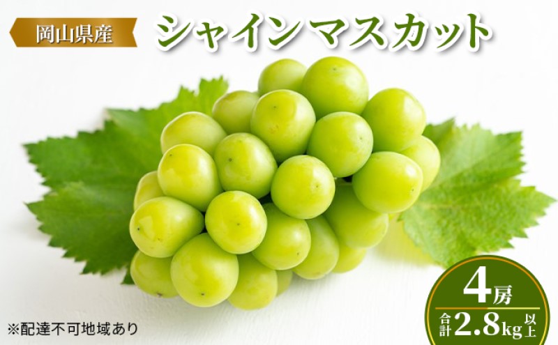 ぶどう 【2026年 先行予約】 シャインマスカット 4房(合計2.8kg以上) マスカット ブドウ 葡萄 岡山県産 国産  フルーツ 果物 ギフト