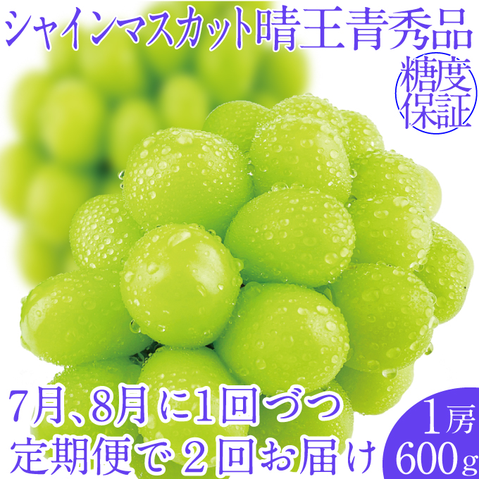 2026年先行予約【2回定期便】 シャインマスカット晴王1房 約600g 7月8月に出荷 人気 岡山県産 種無し 皮ごと食べる みずみずしい フレッシュ 晴れの国 おかやま 果物大国 ハレノフルーツ