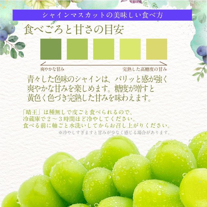 2026年先行予約【3回定期便】シャインマスカット晴王1房 約700g 7月8月9月に出荷 人気 岡山県産 種無し 皮ごと食べる みずみずしい フレッシュ 晴れの国 おかやま 果物大国 ハレノフルーツ