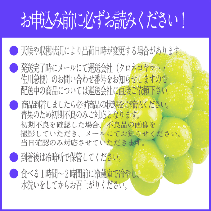 2026年先行予約【3回定期便】シャインマスカット晴王2房 約1.2kg 7月8月9月に出荷 人気 岡山県産 種無し 皮ごと食べる みずみずしい ハレノフルーツ