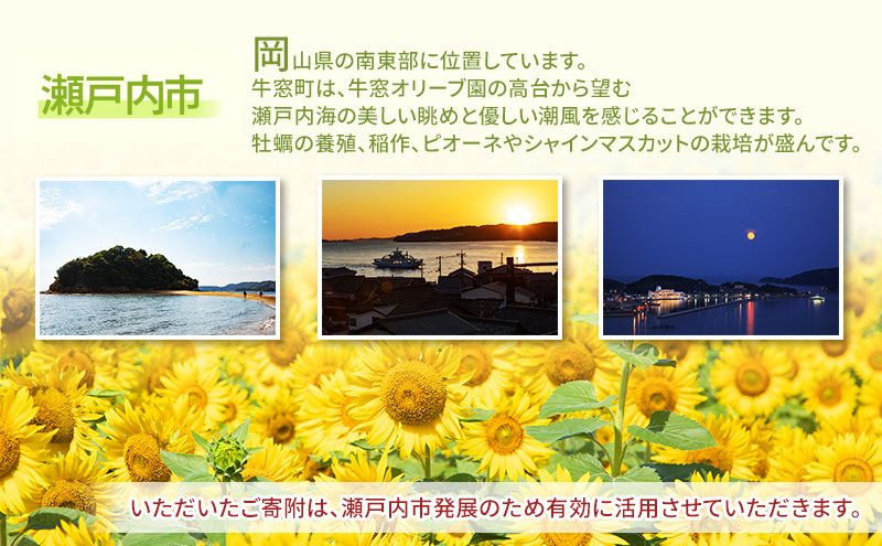 瀬戸内市への応援寄附（返礼品はありません）1口 5,000円 返礼品なし