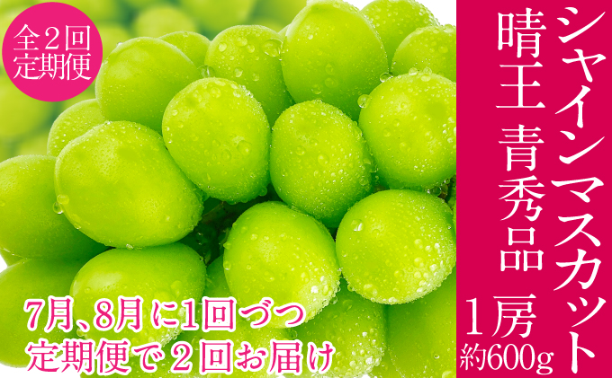 2026年予約受付中 シャインマスカット 晴王 7月8月に1回づつ出荷 2回 定期便 1房 約600g  人気 岡山県産 種無し 皮ごと食べる みずみずしい  フレッシュ 晴れの国 おかやま 果物大国 ハレノフルーツ