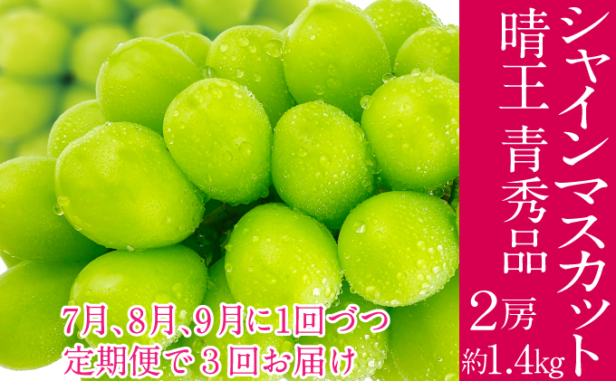 2026年予約受付中 シャインマスカット 晴王 7月8月9月に1回づつ出荷  3回 定期便 2房 1.4kg 人気 岡山県産 種無し 皮ごと食べる みずみずしい  フレッシュ 晴れの国 おかやま 果物大国 ハレノフルーツ