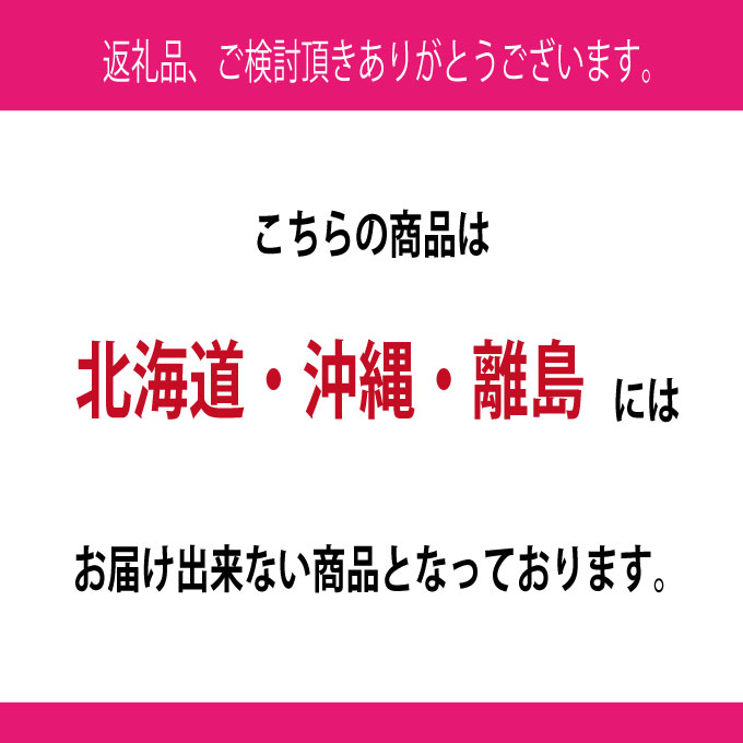 ぶどう 2026年 先行予約 9月・10月発送 シャインマスカット 晴王 1房 約600g ブドウ 葡萄 岡山県産 国産 フルーツ 果物 ギフト