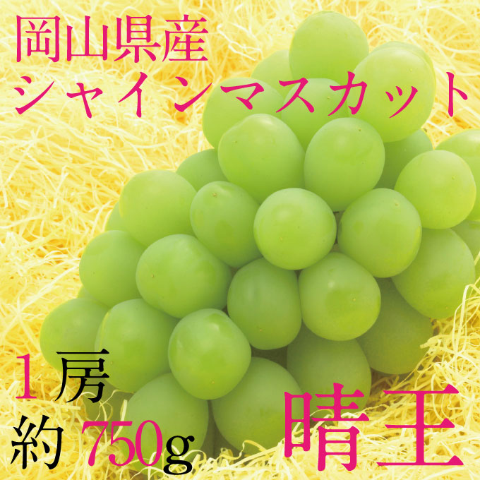 ぶどう 2026年 先行予約 9月・10月発送 シャインマスカット 晴王 1房 約750g ブドウ 葡萄 岡山県産 国産 フルーツ 果物 ギフト