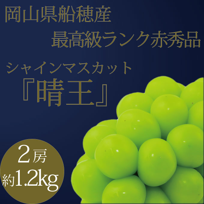 ぶどう 2026年 先行予約 9月・10月発送 高級品 シャインマスカット 晴王 2房 約1.2kg ブドウ 葡萄 岡山県産 船穂産 フルーツ 果物 ギフト