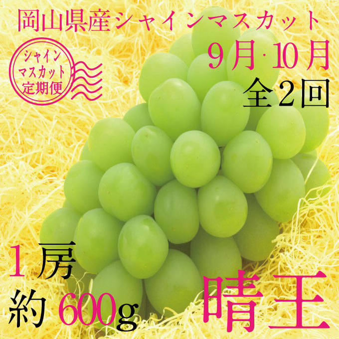 縲仙ョ壽悄萓ソ 蜈ィ2蝗槭 縺カ縺ゥ縺 2026蟷エ 蜈郁。御コ育エ 9譛医サ10譛育匱騾 繧キ繝」繧、繝ウ繝槭せ繧ォ繝繝 譎エ邇 1謌ソ 邏600g 繝悶ラ繧ヲ 闡。關 蟯。螻ア逵檎肇 蝗ス逕」 繝輔Ν繝シ繝 譫懃黄 繧ョ繝輔ヨ