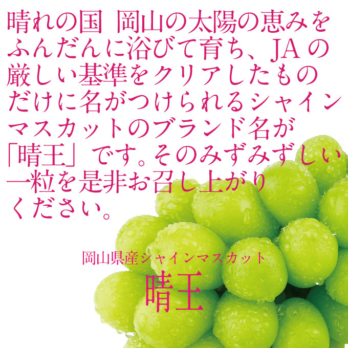 縲仙ョ壽悄萓ソ 蜈ィ2蝗槭 縺カ縺ゥ縺 2026蟷エ 蜈郁。御コ育エ 9譛医サ10譛育匱騾 繧キ繝」繧、繝ウ繝槭せ繧ォ繝繝 譎エ邇 1謌ソ 邏600g 繝悶ラ繧ヲ 闡。關 蟯。螻ア逵檎肇 蝗ス逕」 繝輔Ν繝シ繝 譫懃黄 繧ョ繝輔ヨ