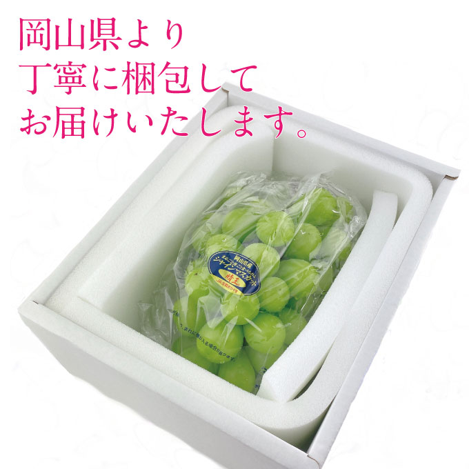 縲仙ョ壽悄萓ソ 蜈ィ2蝗槭 縺カ縺ゥ縺 2026蟷エ 蜈郁。御コ育エ 9譛医サ10譛育匱騾 繧キ繝」繧、繝ウ繝槭せ繧ォ繝繝 譎エ邇 1謌ソ 邏600g 繝悶ラ繧ヲ 闡。關 蟯。螻ア逵檎肇 蝗ス逕」 繝輔Ν繝シ繝 譫懃黄 繧ョ繝輔ヨ