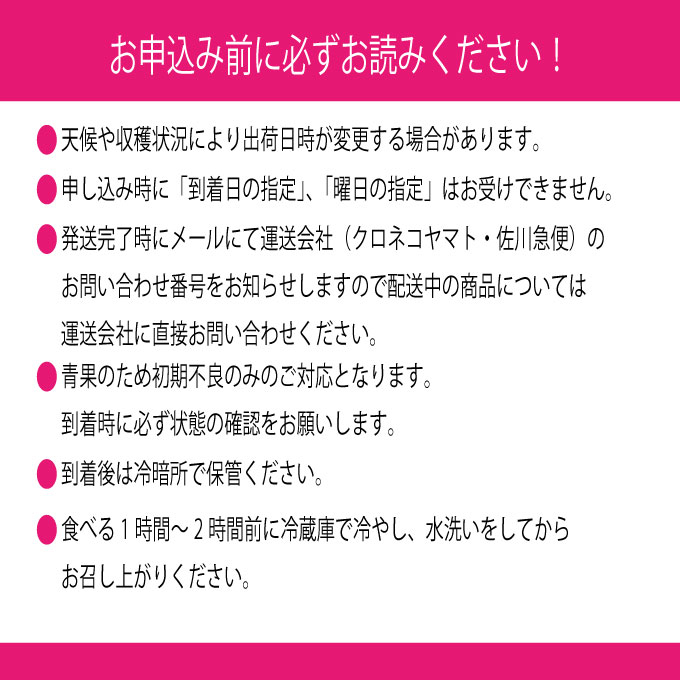縲仙ョ壽悄萓ソ 蜈ィ2蝗槭 縺カ縺ゥ縺 2026蟷エ 蜈郁。御コ育エ 9譛医サ10譛育匱騾 繧キ繝」繧、繝ウ繝槭せ繧ォ繝繝 譎エ邇 1謌ソ 邏600g 繝悶ラ繧ヲ 闡。關 蟯。螻ア逵檎肇 蝗ス逕」 繝輔Ν繝シ繝 譫懃黄 繧ョ繝輔ヨ