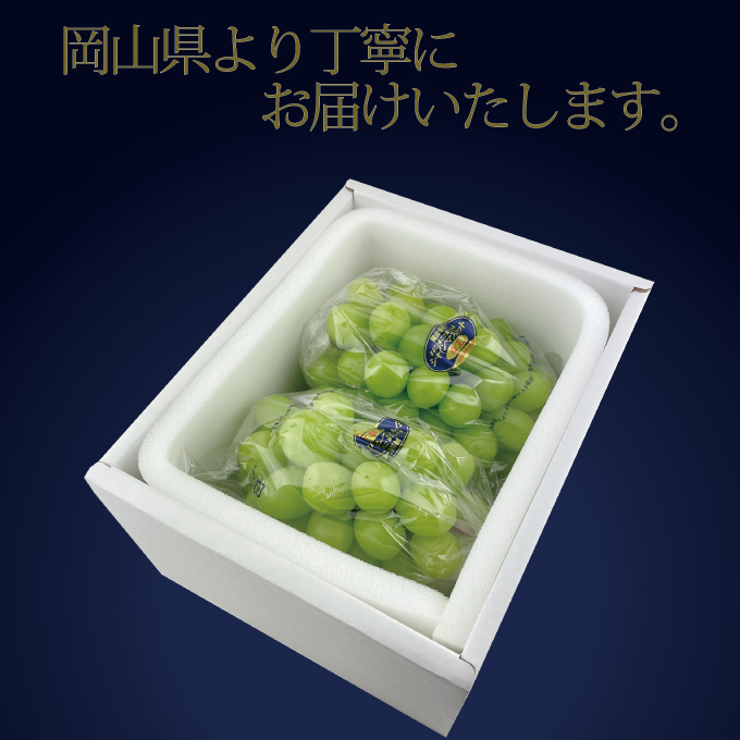 【定期便 全2回】 ぶどう 2026年 先行予約 9月・10月発送 高級品 シャインマスカット 晴王 2房 合計約1.4kg ブドウ 葡萄 岡山県産 国産 フルーツ 果物 ギフト