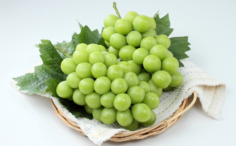 ぶどう 2026年 先行予約 シャインマスカット ＆ クイーンニーナ 各1房 約1.2kg ブドウ 葡萄 岡山県産 国産 フルーツ 果物 直送！せとうちバスケット