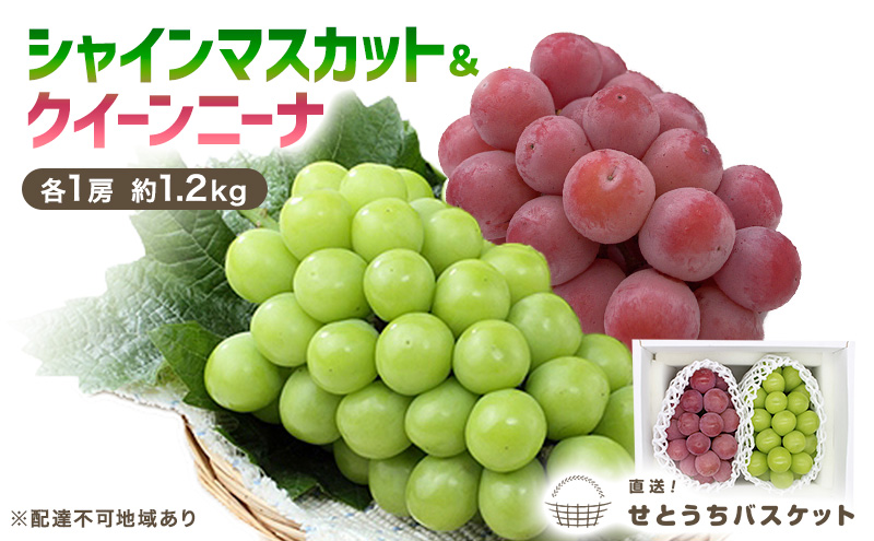 ぶどう 2026年 先行予約 シャインマスカット ＆ クイーンニーナ 各1房 約1.2kg ブドウ 葡萄 岡山県産 国産 フルーツ 果物 直送！せとうちバスケット