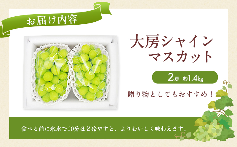 ぶどう 2026年 先行予約 シャインマスカット 大房 2房 約1.4kg ブドウ 葡萄 岡山県産 国産 フルーツ 果物 直送！せとうちバスケット 