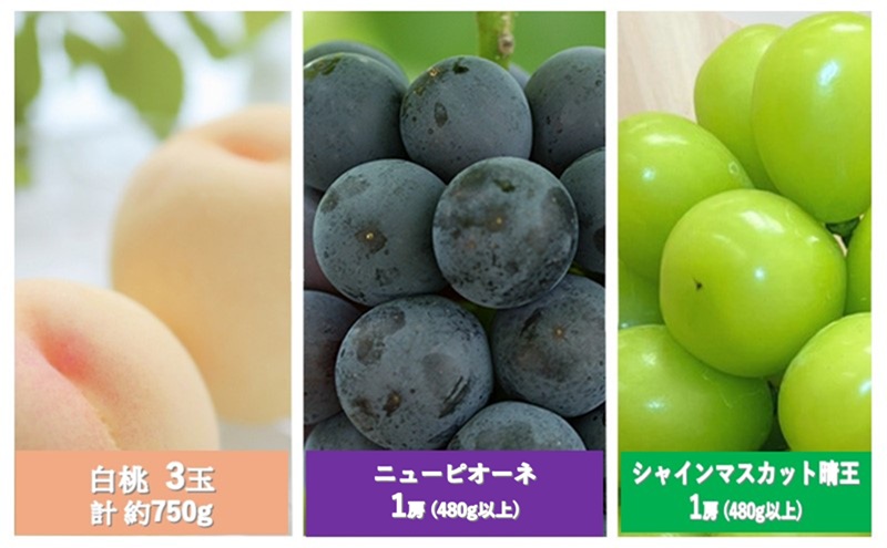 フルーツ 定期便 2026年 先行予約 晴れの国 岡山 の 定期フルーツ定期便 3回コース 桃 もも 葡萄 ブドウ 岡山県産 国産 セット ギフト