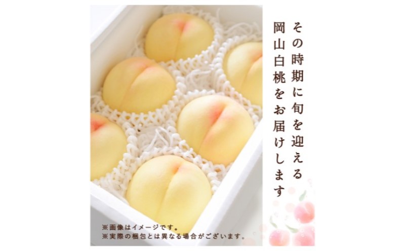 æ¡ 2026幎 å
è¡äºçŽ çœæ¡ 3ç(çŽ750g)ççŽïŒãã€ã€ã« åç²§ç®±å
¥ã ãã ã¢ã¢ 岡山çç£ åœç£ ãã«ãŒã æç© ã»ãã ã®ãã