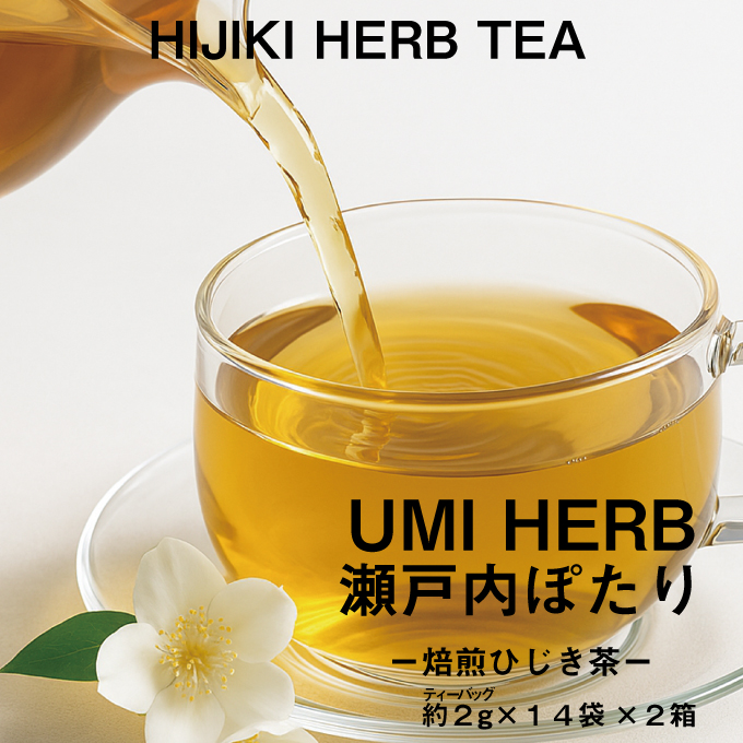 焙煎 ひじき茶 約2g×14袋入り×2箱セット 海藻漁師が自宅で飲むお茶 天然 海藻 無添加商品   ティーバッグ 鉄分豊富 焙煎ひじき茶 瀬戸内ぽたり  自然派女子のキレイ習慣 鉄分 カルシウム マグネシウム 食物繊維 ミネラル
