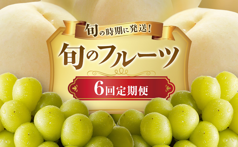 【2026年先行受付】 白桃 シャインマスカット 晴王 6回 定期便 桃 ぶどう 岡山県産 御中元 ギフト 御礼 プレゼント 御礼 御祝 御供 果物 くだもの フルーツ もも モモ 葡萄 ブドウ