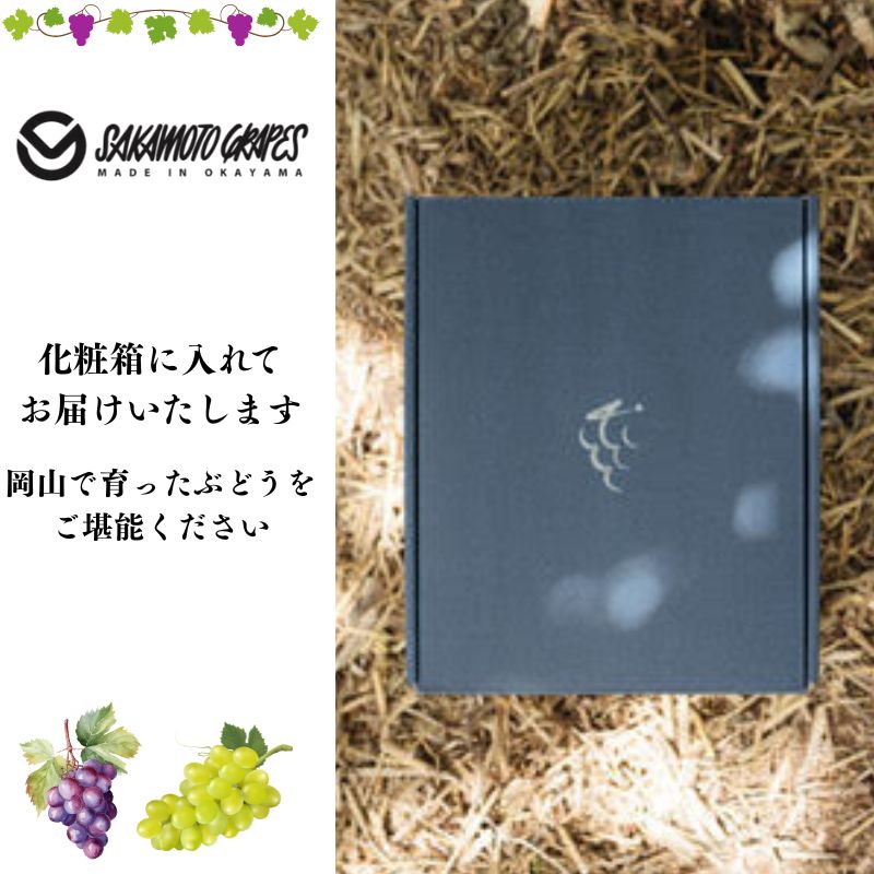 埡èŽççš å²¡å±±çç£ ç¬æžãžã£ã€ã¢ã³ã ã·ã£ã€ã³ãã¹ã«ãã 2æ¿å
¥ã(1.2kg以äž) ã¶ã©ã ãã㊠è¡è ãã«ãŒã æç© 岡山 ç¬æžå
åž