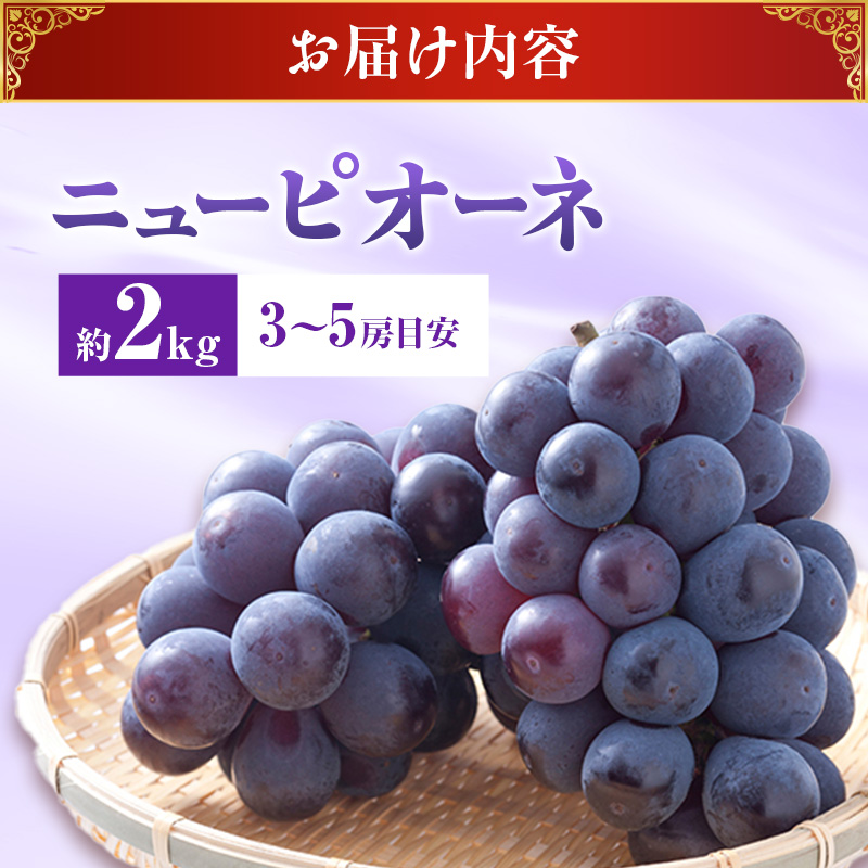【2026年先行受付】 ぶどう ニューピオーネ 秀品 約2kg(3～5房) 岡山県産 ぶどう 葡萄 ブドウ ギフト 御礼 プレゼント 御礼 御祝 御供 果物 くだもの フルーツ