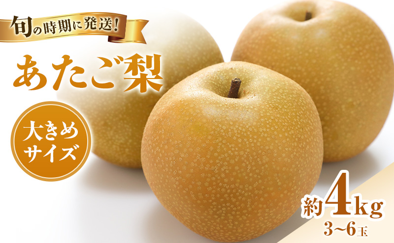 ã2026幎å
è¡åä»ã 梚 ãããæ¢š ç§å çŽ4kg(3ïœ6ç) 岡山åç£ æ¥æ¬äžå€§ããªæ¢š ãªã ãã· ãæ³æ® ã®ãã 埡瀌 ãã¬ãŒã³ã 埡瀌 åŸ¡ç¥ åŸ¡äŸ æç© ãã ãã® ãã«ãŒã