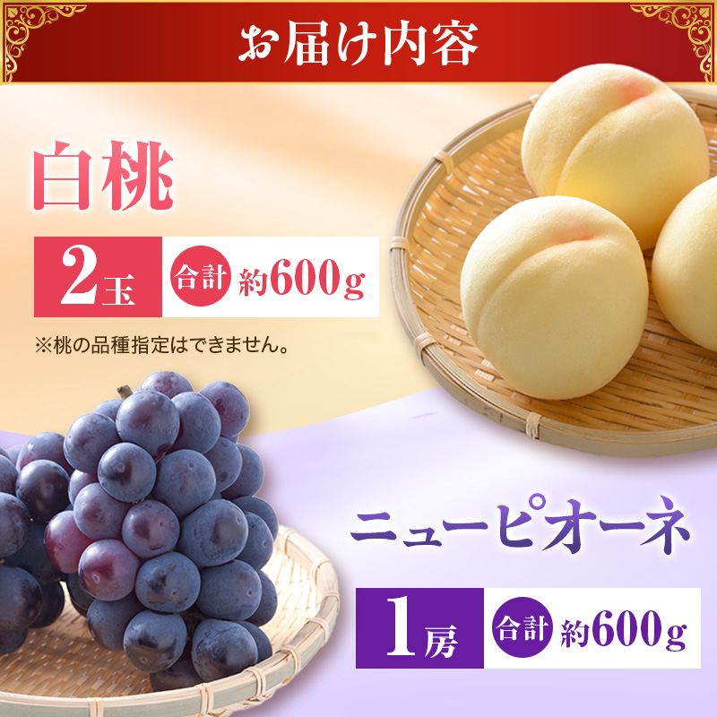 ã2026幎å
è¡åä»ã çœæ¡ ãã¥ãŒããªãŒã çŽ1.2kg ã»ãã æ¡ 2ç ã¶ã©ã 1æ¿ å²¡å±±çç£ åŸ¡äžå
ã®ãã 埡瀌 ãã¬ãŒã³ã 埡瀌 åŸ¡ç¥ åŸ¡äŸ æç© ãã ãã® ãã«ãŒã ãã ã¢ã¢ è¡è ãããŠ