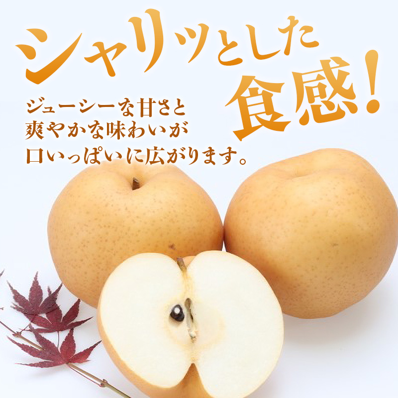 ã2026幎å
è¡åä»ã 梚 ãããæ¢š ç§å çŽ4kg(3ïœ6ç) 岡山åç£ æ¥æ¬äžå€§ããªæ¢š ãªã ãã· ãæ³æ® ã®ãã 埡瀌 ãã¬ãŒã³ã 埡瀌 åŸ¡ç¥ åŸ¡äŸ æç© ãã ãã® ãã«ãŒã