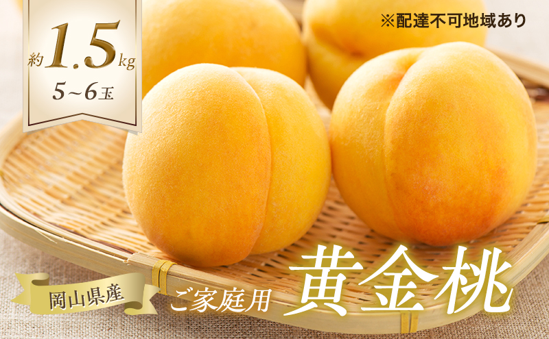 桃 2026年 先行予約 ご家庭用 黄金桃 5～6玉 合計約1.5kg もも モモ 岡山県産 国産 フルーツ 果物 ギフト