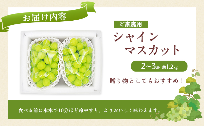 ã¶ã©ã 2026幎 å
è¡äºçŽ ãå®¶åºçš ã·ã£ã€ã³ãã¹ã«ãã 2ïœ3æ¿ çŽ1.2kg ãã㊠è¡è 岡山çç£ åœç£ ãã«ãŒã æç© çŽéïŒããšãã¡ãã¹ã±ãã