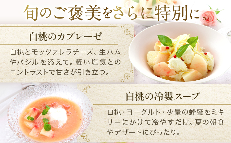 桃 2026年 先行予約 岡山 白桃 ロイヤル  約1kg 4〜6玉 JAおかやまのもも（早生種・中生種） もも モモ 岡山県産 国産 フルーツ 果物 ギフト 