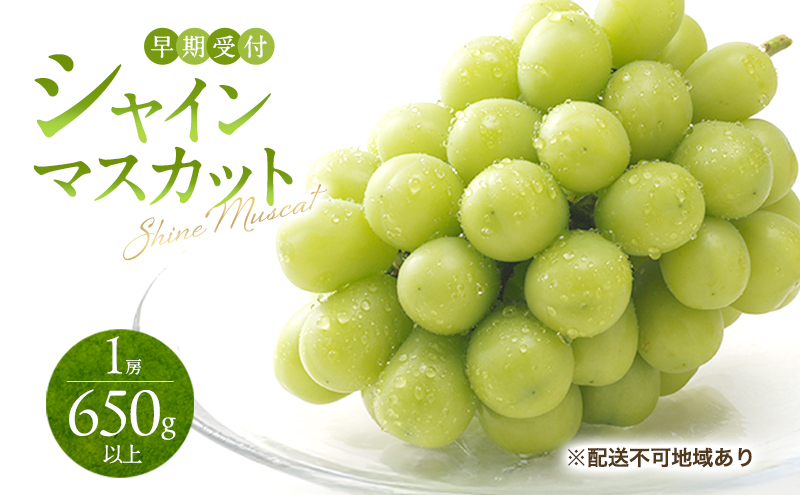 ぶどう 早期受付 シャイン マスカット 1房（650g以上） ブドウ 葡萄 岡山県産 国産 フルーツ 果物 ギフト 桃茂実苑