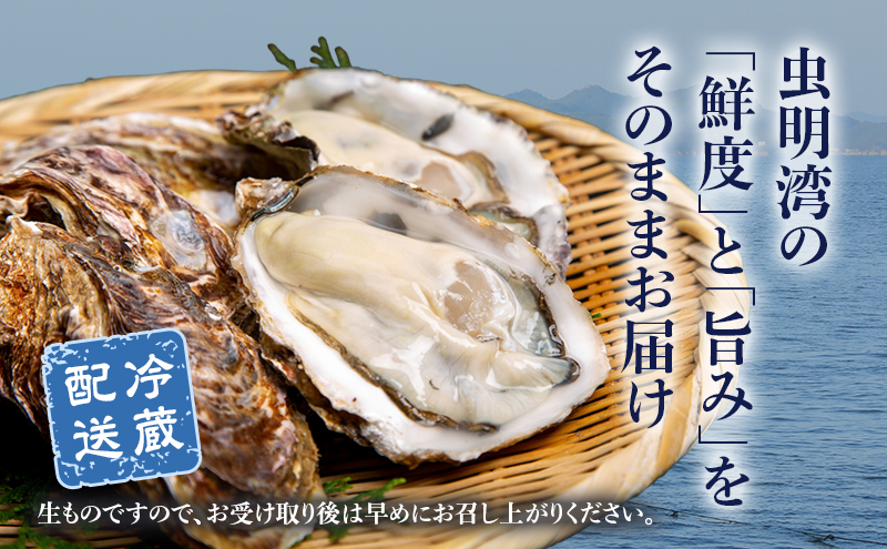 牡蠣 2026年 先行予約 かんかん焼 （ 殻付き 大つぶ牡蠣 20個） 山銀商店 瀬戸内海虫明湾産 大粒 生牡蠣 かき 魚介類 カキ かんかん焼き 軍手 ナイフ付き 加熱調理用 