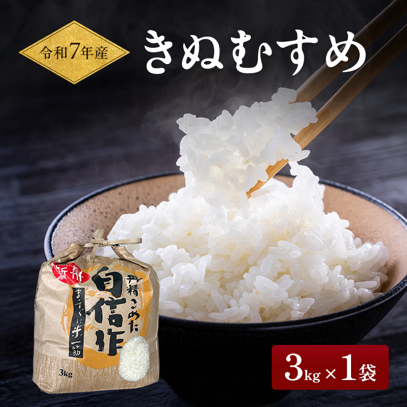 令和7年産 お米 3kg×1袋 きぬむすめ 特A 精米 白米 ライス 単一原料米 検査米 岡山県 ご飯 主食
