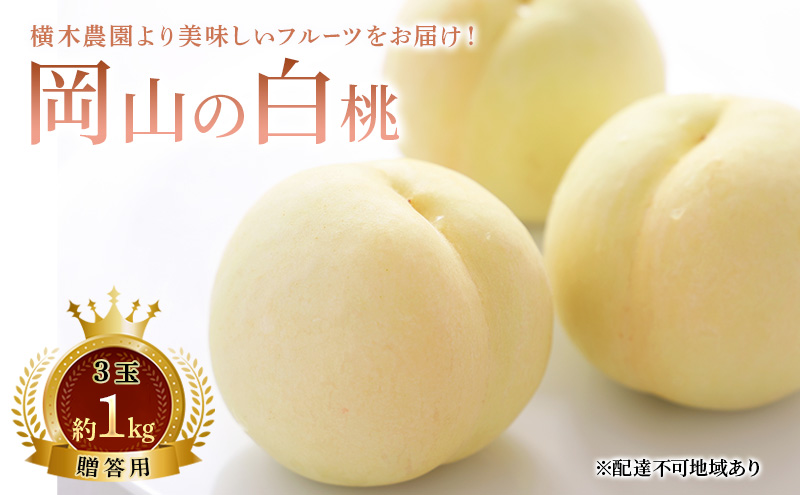 æ¡ 2026幎 å
è¡äºçŽ å²¡å±±ã®çœæ¡ 3ç çŽ1kg èŽççš ãã ã¢ã¢ çœæ¡ å²¡å±±çœæ¡ 岡山çç£ åœç£ ãã«ãŒã æç© ã®ãã èŽãç© æšªæšèŸ²å ã¹ã€ãŒã