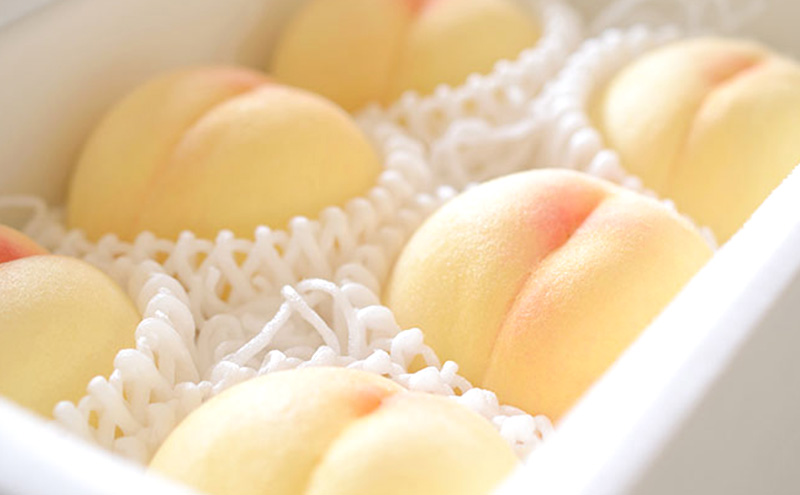 æ¡ 2026幎 å
è¡äºçŽ å²¡å±±ã®çœæ¡ 3ç çŽ1kg èŽççš ãã ã¢ã¢ çœæ¡ å²¡å±±çœæ¡ 岡山çç£ åœç£ ãã«ãŒã æç© ã®ãã èŽãç© æšªæšèŸ²å ã¹ã€ãŒã