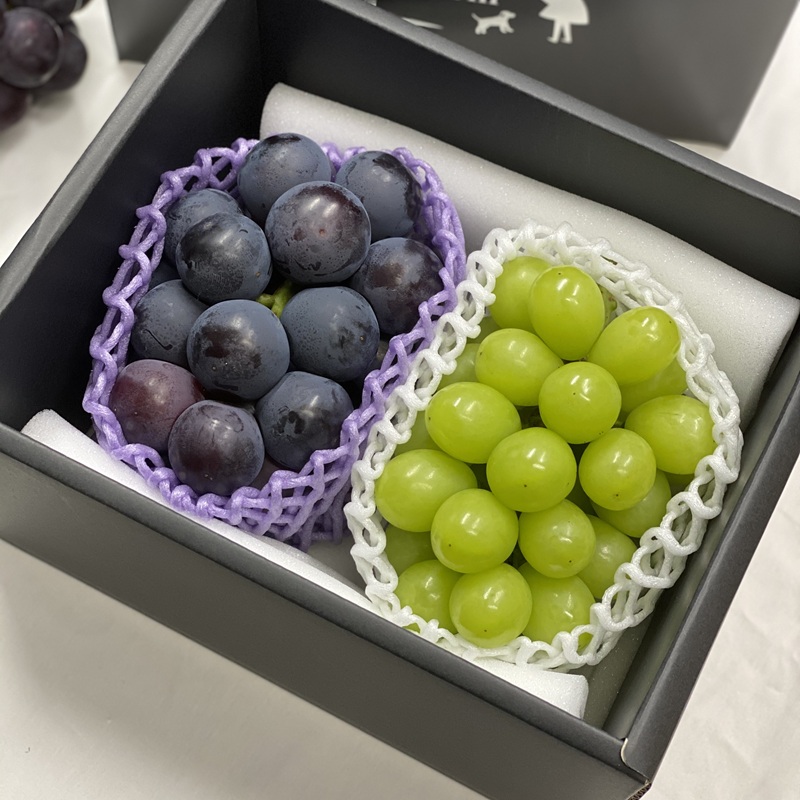 ぶどう 2026年 先行予約 農家こだわりの シャイン マスカット ＆ オーロラブラック 2房 合計約1.0kg ご家庭用クラス 葡萄 岡山県産 国産 フルーツ 果物 ギフト 【 Nini farm 農家 直送 】