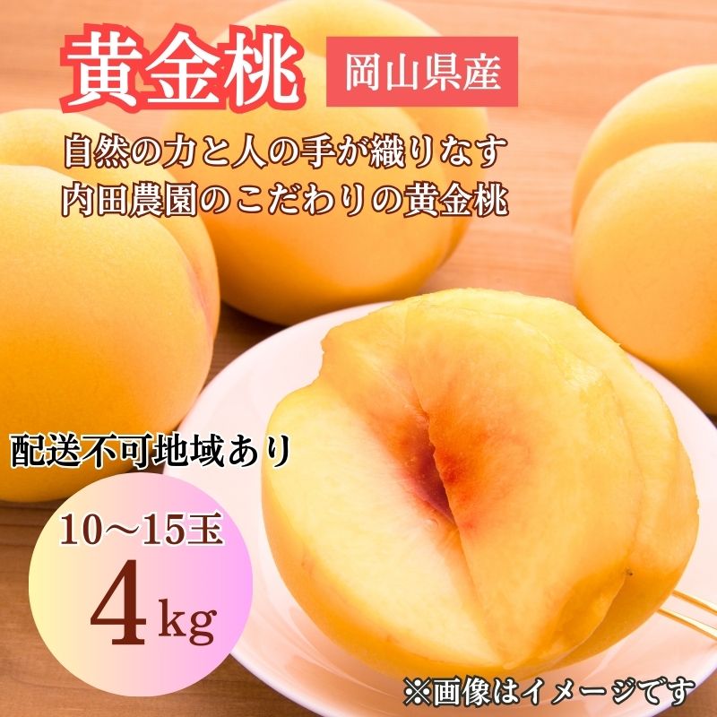 2026年 先行予約 岡山県産 黄色い桃 匠の黄金桃 4kg箱 10〜15玉 内田農園 桃 果物 もも