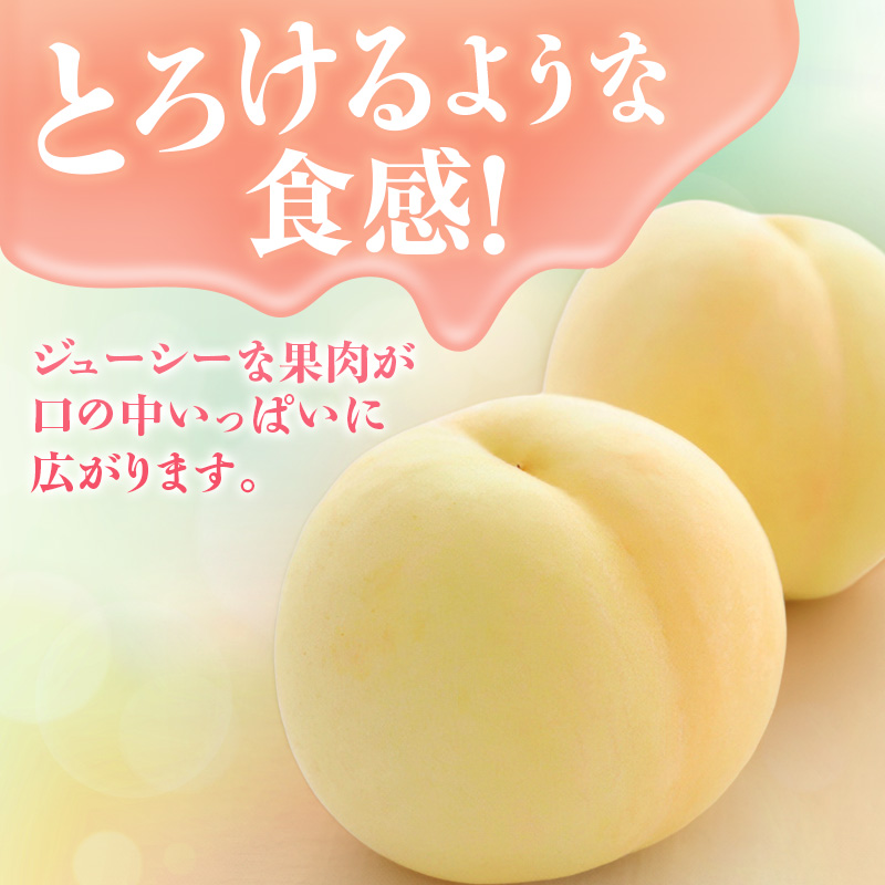【2026年先行受付】 白桃 特秀 ロイヤル 大玉 晩生品種 約4kg(8～15玉) 岡山県産 桃 もも モモ 御中元 ギフト 御礼 プレゼント 御礼 御祝 御供 果物 くだもの フルーツ