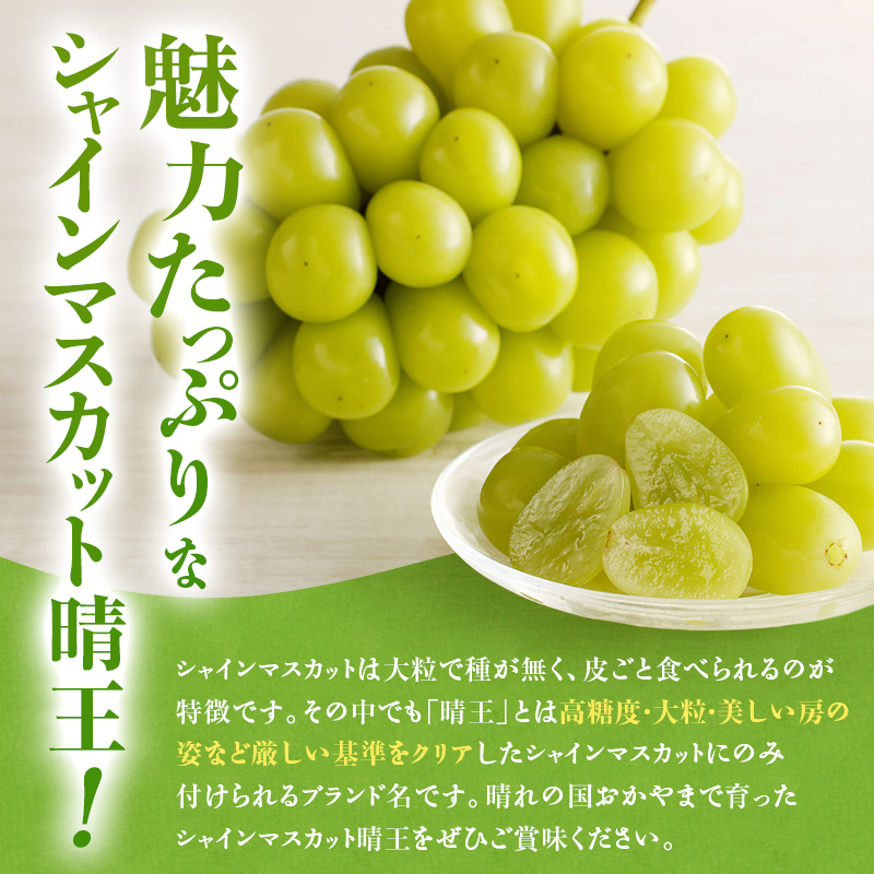 【2026年先行受付】 シャインマスカット 晴王 ハウス栽培 約2kg(3～5房目安) 岡山県産 ぶどう 葡萄 ブドウ 御中元 ギフト 御礼 プレゼント 御礼 御祝 御供 果物 くだもの フルーツ