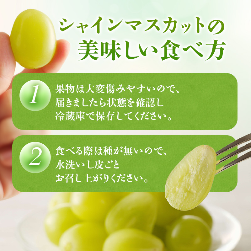 ã2026幎å
è¡åä»ã ã·ã£ã€ã³ãã¹ã«ãã æŽç ç¹éž å€§æ¿ çŽ700g 6æ¿ åç²§ç®±å
¥ 岡山çç£ ã¶ã©ã è¡è ãã㊠ã®ãã 埡瀌 ãã¬ãŒã³ã 埡瀌 åŸ¡ç¥ åŸ¡äŸ æç© ãã ãã® ãã«ãŒã